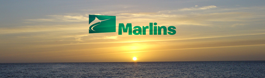 Transeas, academia. Curso Marlins: inglés para marinos..